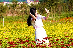 国内白银价格